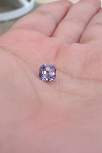 lavender12.jpg