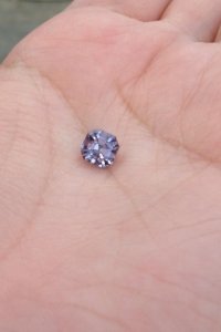 lavender11.jpg