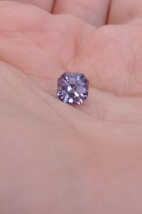 lavender8.jpg