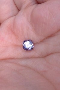 lavender6.jpg