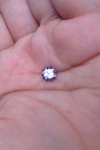 lavender5.jpg