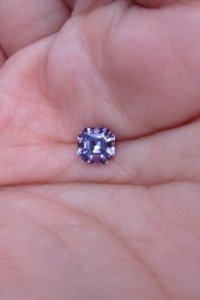 lavender4.jpg