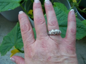 anniversary_ring_025.jpg