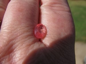 img_4523.jpg