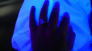 imag0847.jpg