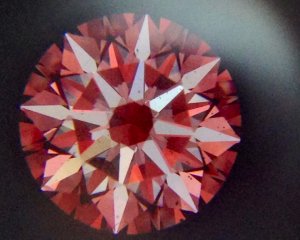_10336.jpg