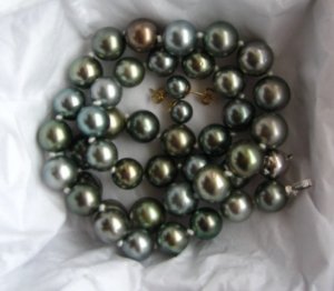 tahitiannecklaceearrings_1584.jpg tahitiannecklaceearrings_1584.jpg