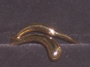 gedc2603.jpg