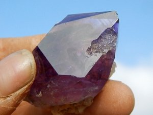 _10505.jpg