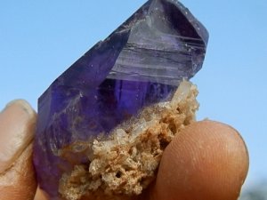 _10506.jpg