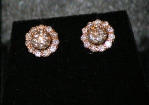 img_9707_cropped.jpg