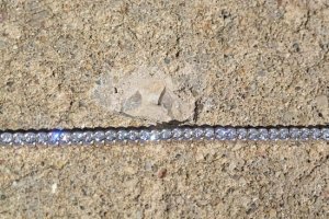 cmsdiamondbracelet15.jpg