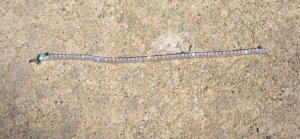 cmsdiamondbracelet13.jpg