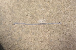 cmsdiamondbracelet12.jpg