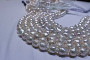 hongkong7white.jpg