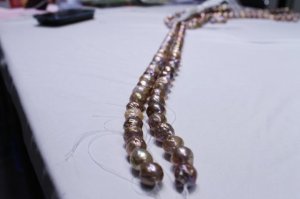 img_2210.jpg