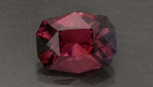 garnet-g10.jpg