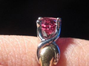 img_5007.jpg