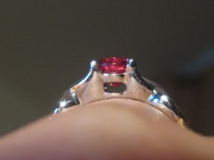 img_5024.jpg