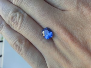 20131012_113647.jpg