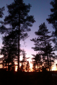 n__ytt__kuva_2013-10-13_kohteessa_0.png