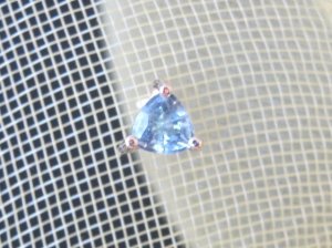 img_2434.jpg