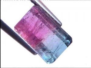 tourmaline-bi-color-2791.jpg