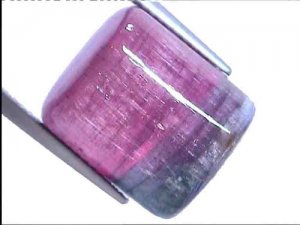tourmaline-bi-color-2812.jpg