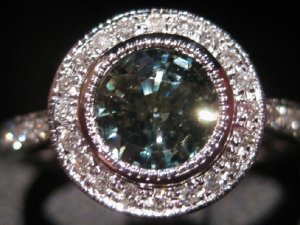 sapphire_bi_colour_head_shot_trim.jpg