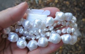 white_6640.jpg