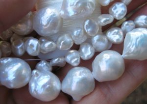 white_6642.jpg