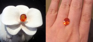 pporangesapp5ct.jpg
