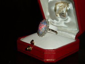 black_opal_oct_2011.jpg