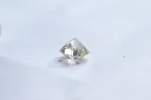 dsc_0020__2_.jpg dsc_0020__2_.jpg