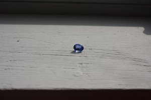 img_2536.jpg