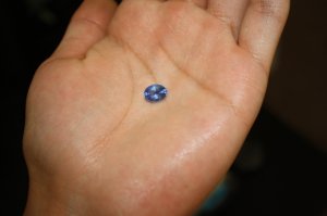 img_2542.jpg