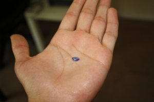 img_2543.jpg