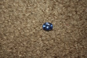 img_2577.jpg