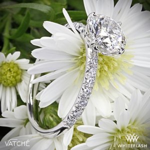 vatche-charis-pave-diamond-engagement-ring-in-platinum-for-whiteflash_36402_g-2.jpg