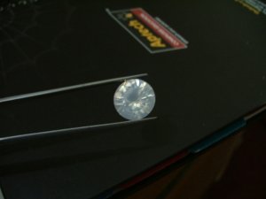 dscf2842.jpg
