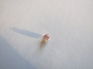 dscf9311.jpg