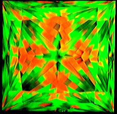 _11670.jpg