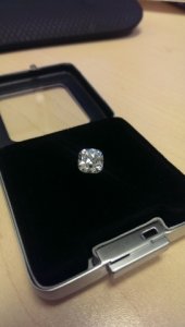 imag0230.jpg
