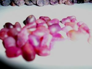 Rubies 080.jpg