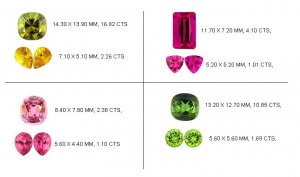 ColorSwatch.JPG