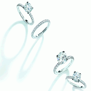 princess_collection.gif