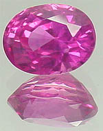 SA00181_b copy.jpg