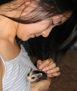 opossum 13.jpg