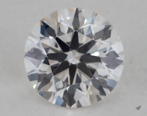 262445.jpg