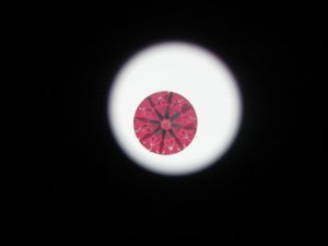 img_0232.jpg